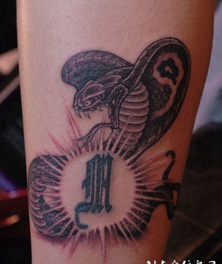 好斗的眼镜蛇纹身