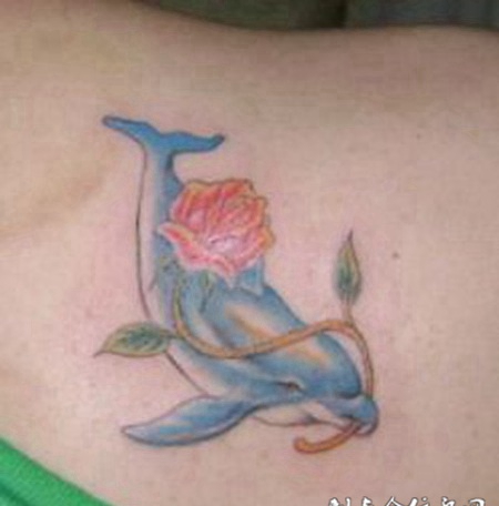 玫瑰小海豚海豚