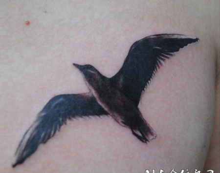 胸前海鸥纹身图片