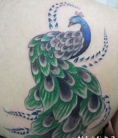 后背上的孔雀纹身
