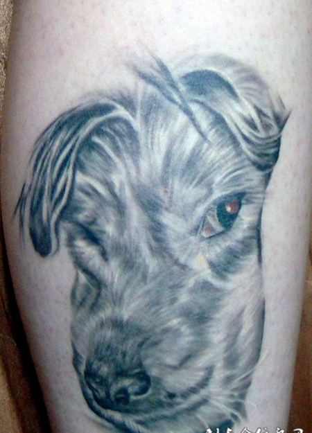 胳膊上的小狗纹身