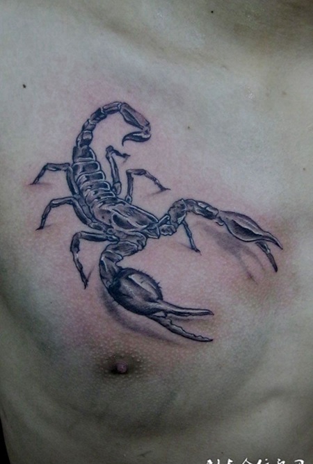 挥舞钳子的蝎子纹身