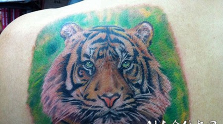 后背上的虎头纹身