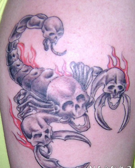 骷髅蝎子纹身