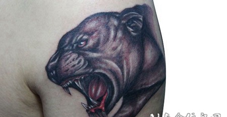 胳膊上的豹头纹身