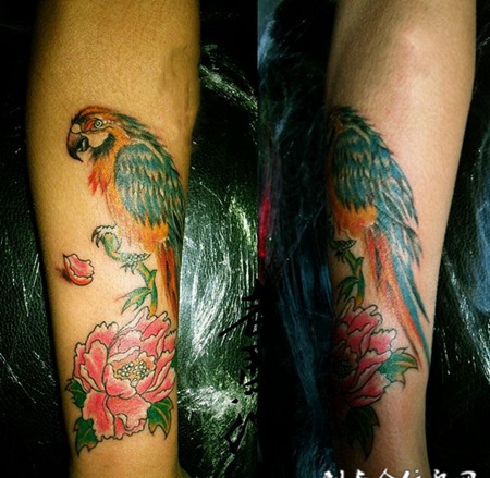 八哥鹦鹉纹身