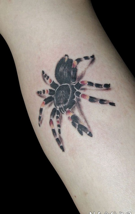 毒蜘蛛纹身