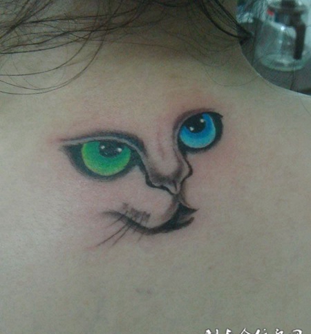 背部波斯猫的纹身