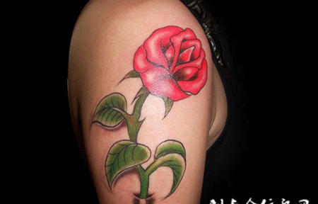 胳膊上一枝玫瑰花纹身