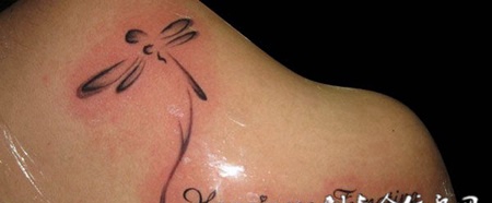 后背上的蜻蜓文字纹身