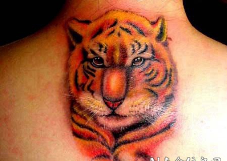 背部可爱小老虎纹身