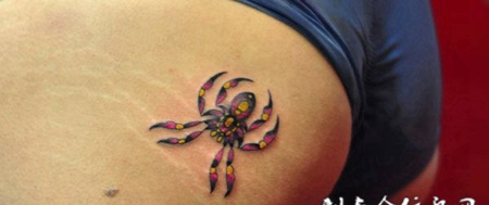 腰侧的花纹蜘蛛纹身