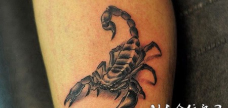 小腿上的蝎子纹身