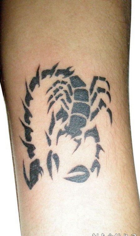 胳膊上的蝎子图腾纹身