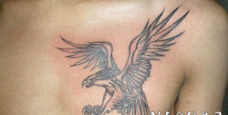 胸前飞翔的鹰纹身
