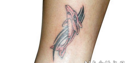 胳膊上的海豚纹身