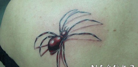 背部的蜘蛛纹身