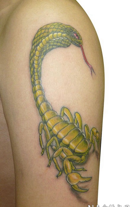 胳膊上的蛇蝎纹身