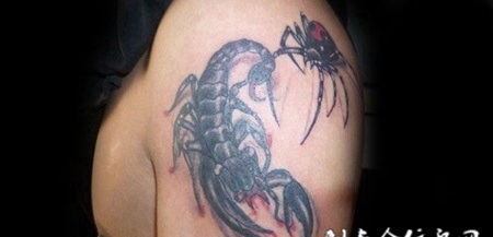 胳膊上的蝎子与蜘蛛纹身