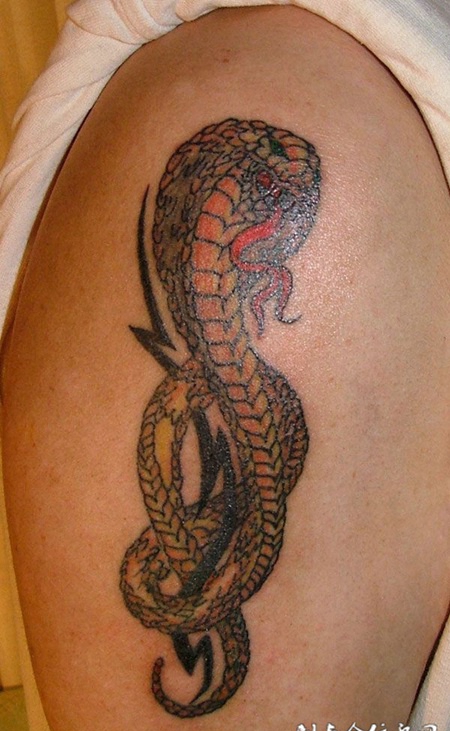 胳膊上的眼镜蛇纹身