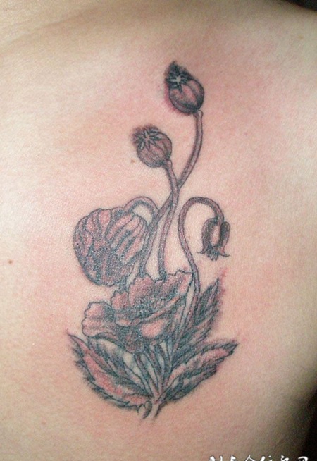 胸前的罂粟花纹身