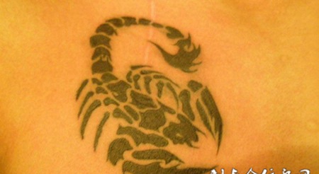 背部的蝎子纹身