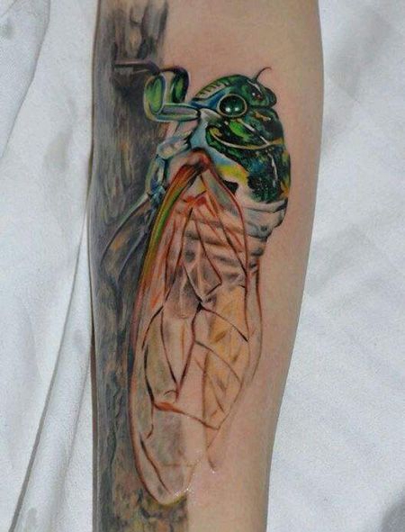 手臂上的知了纹身图片