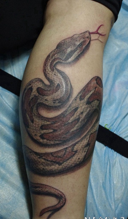 胳膊上的花斑蛇纹身