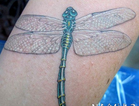胳膊上的蜻蜓纹身