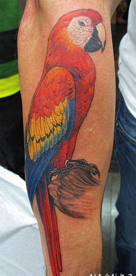 胳膊上的鹦鹉纹身