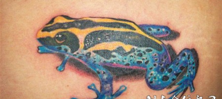 背部热带雨林青蛙纹身