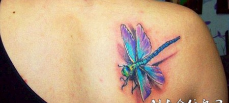 后背上的蜻蜓纹身