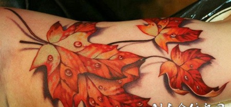 胳膊上的落叶纹身