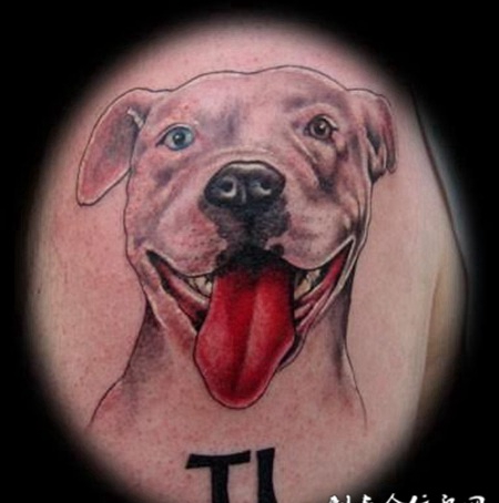 大臂沙皮狗纹身