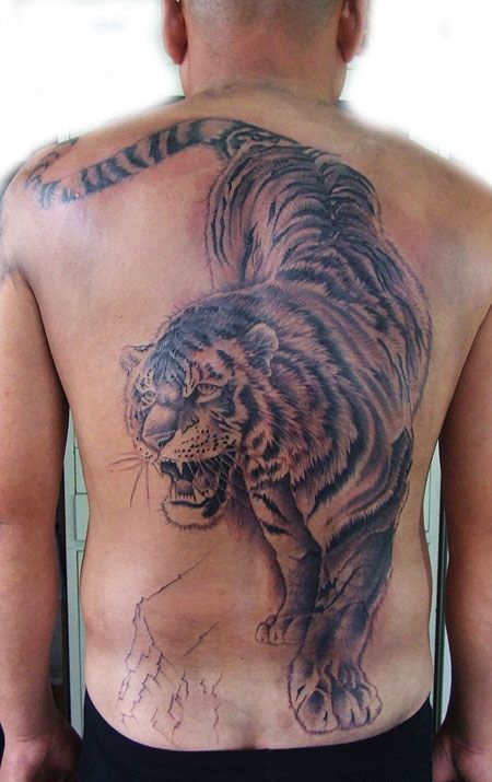 背部写实下山虎纹身图案