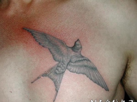 胸前飞翔的燕子纹身