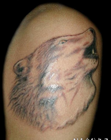 胳膊上长啸的狼头纹身