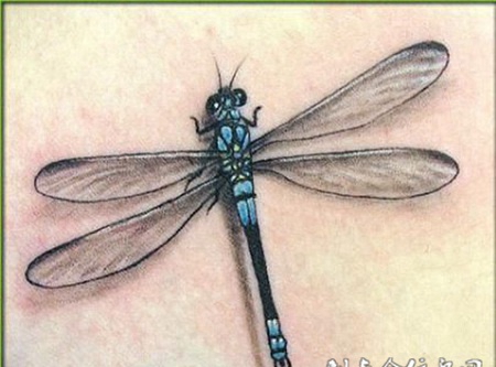 落在皮肤上的蜻蜓纹身