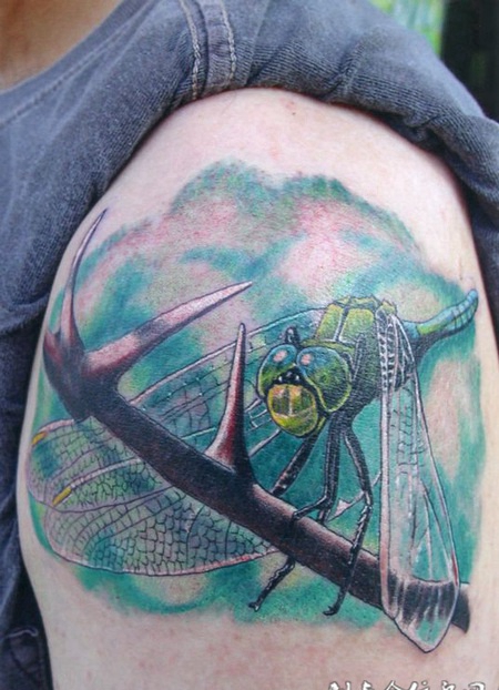 落在树枝上的大臂蜻蜓纹身