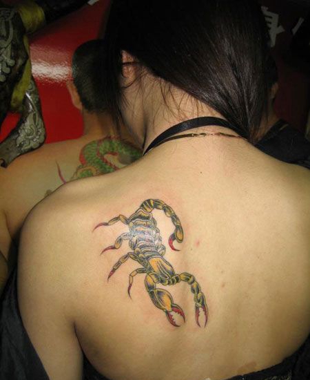 美女背部蝎子纹身图案