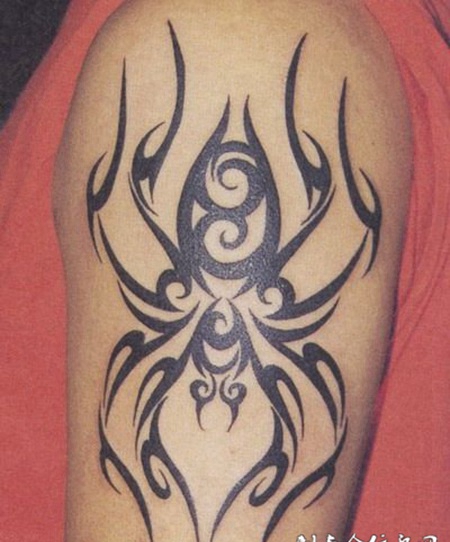 大臂蜘蛛图腾纹身