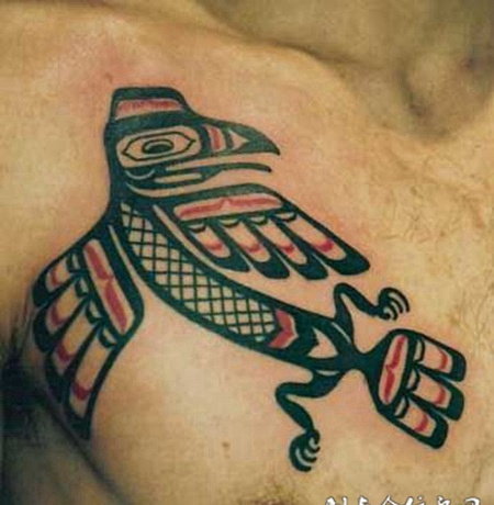 胸前的鹦鹉图腾纹身