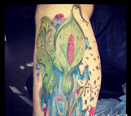 小腿马蹄莲纹身图案