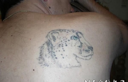 后背上的豹头纹身图案