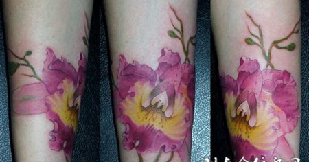 小臂木槿花纹身图案