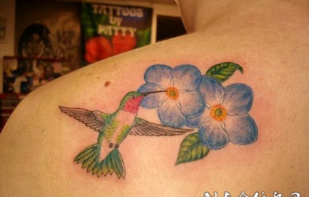 后背上的蜂鸟纹身图案