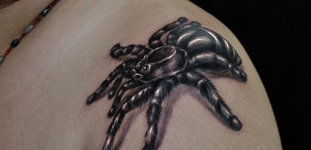 肩部写实蜘蛛纹身图案