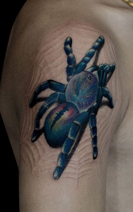 大臂蜘蛛和网的纹身图案