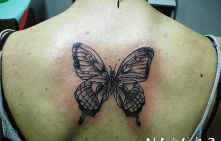 后背正中的蝴蝶标本纹身图案