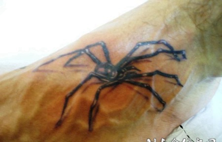 小臂上逼真的蜘蛛纹身图案